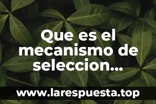 Que es el mecanismo de seleccion automatizada ley