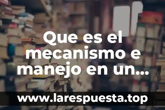 Que es el mecanismo e manejo en un accidente