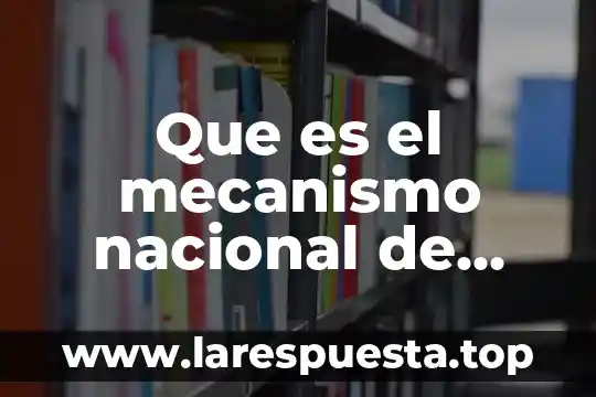 Que es el mecanismo nacional de prevencion