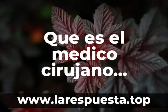 Que es ser cirujano general 4 Que es el medico cirujano partero