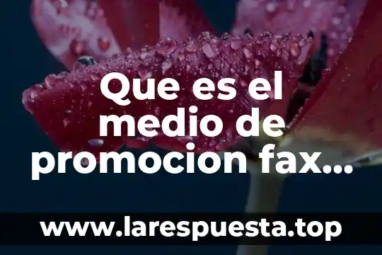 Qué es data mining ventajas y desventajas 8 Que es el medio de promocion fax ventajas y desventajas