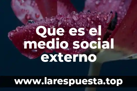 Análisis externo e interno que es 3 Que es el medio social externo