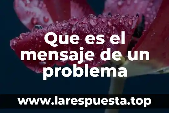 Que es el mensaje de un problema