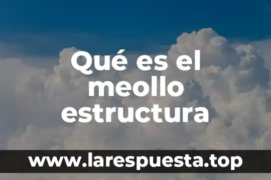 Augusto Comte que es estructura 7 Qué es el meollo estructura