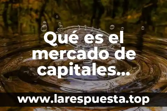 Qué es el mercado de capitales definición