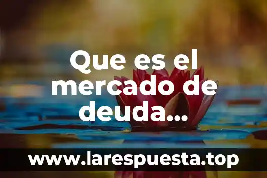Que es controlador de dominio secundario 7 Que es el mercado de deuda mercado primario y secundario