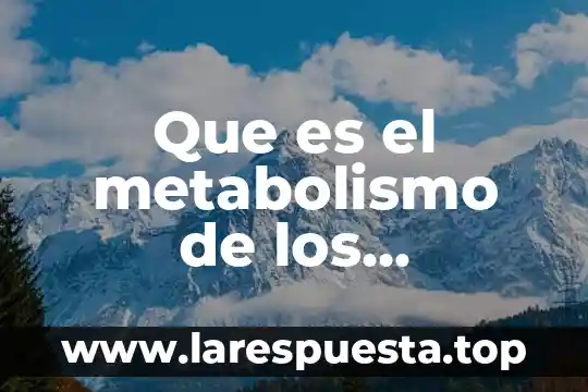 Que es lo que controla el metabolismo 6 Que es el metabolismo de los alimentos