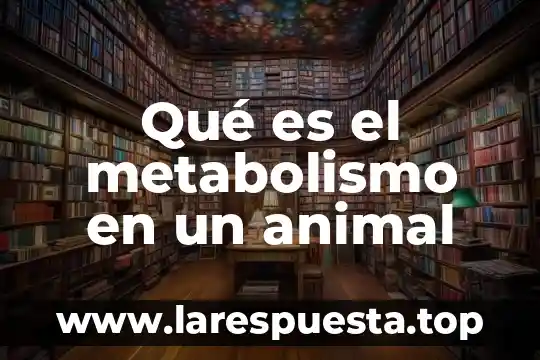 Qué es el metabolismo en un animal