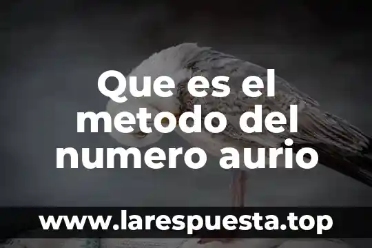 Que es el metodo del numero aurio