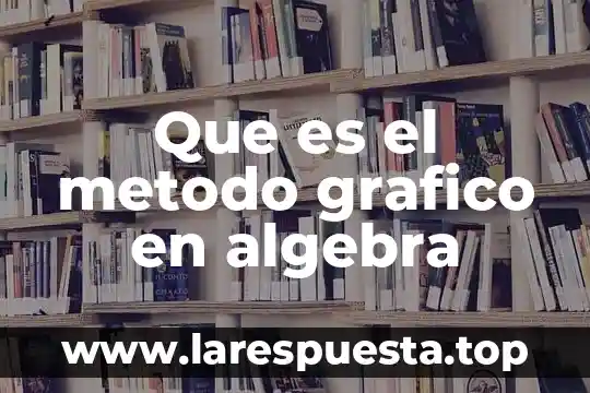 Que es el metodo grafico en algebra