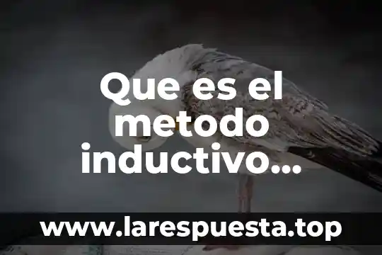 Qué es un método de eliminación 4 Que es el metodo inductivo caracteristicas