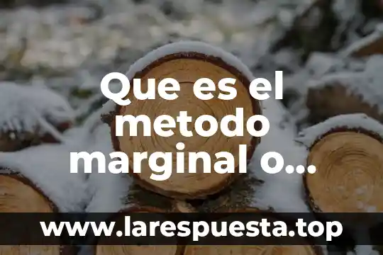 Costo marginal cero que es 8 Que es el metodo marginal o variable