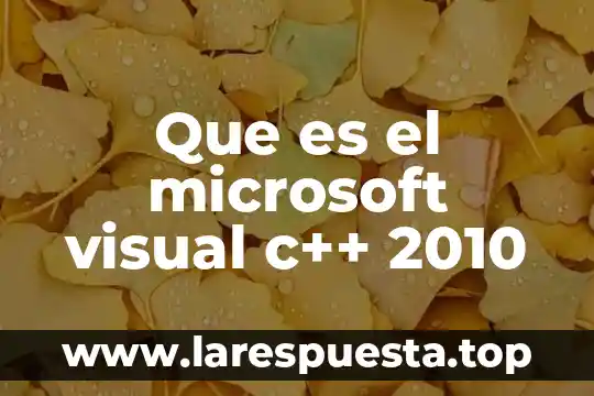 Que es la c de la vida cotidiana 4 Que es el microsoft visual c++ 2010