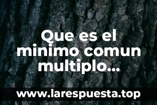 Qué es múltiplo del centímetro cuadrado 8 Que es el minimo comun multiplo ejemplos yahoo