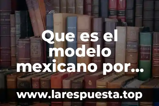 Que es el modelo mexicano por competencias