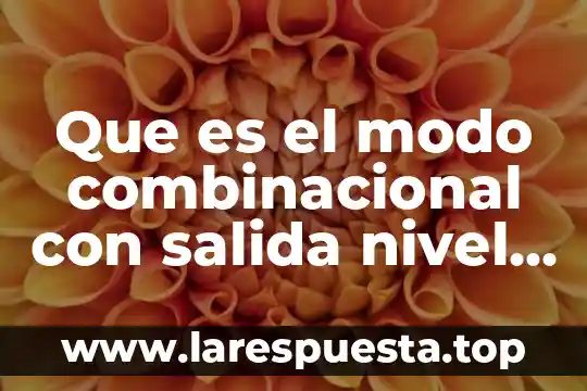 Que es el modo combinacional con salida nivel baja