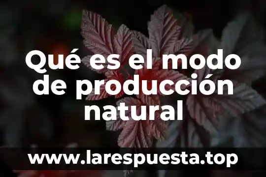 Que es la dicision de trabajo en produccion 6 Qué es el modo de producción natural