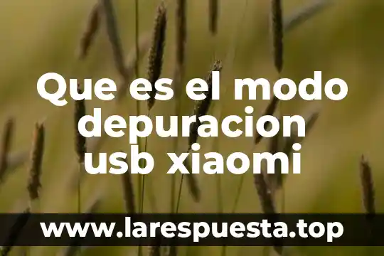 Que es el modo depuracion usb xiaomi