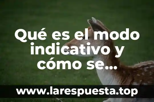 Qué es el modo indicativo y cómo se conjuga