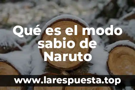 Que es un modo hiperactivo 5 Qué es el modo sabio de Naruto