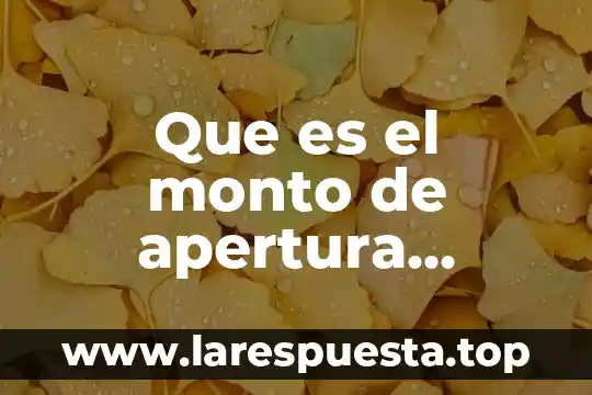 Que es el monto de apertura tarjeta de credito