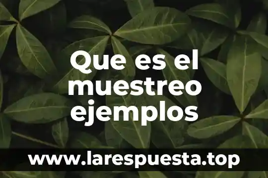 Que es el muestreo ejemplos
