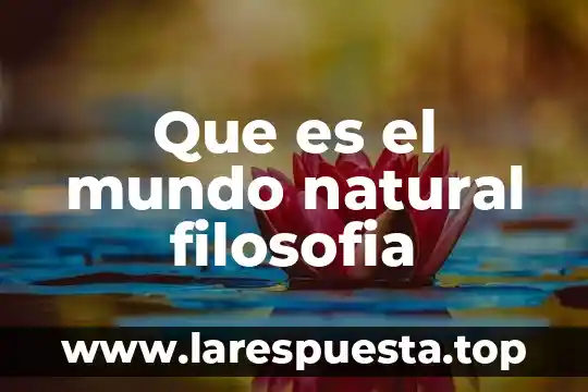 Qué es filosofía de la educación 4 Que es el mundo natural filosofia