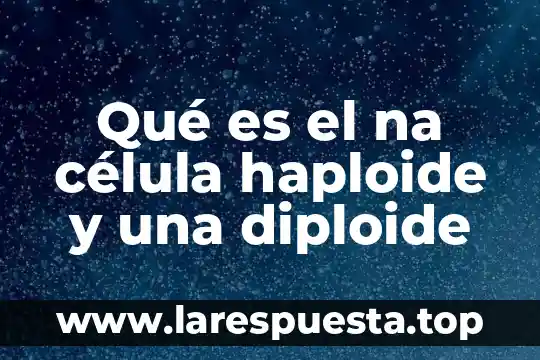 Que es una celula procariota de dibujo para coloriar 4 Qué es el na célula haploide y una diploide