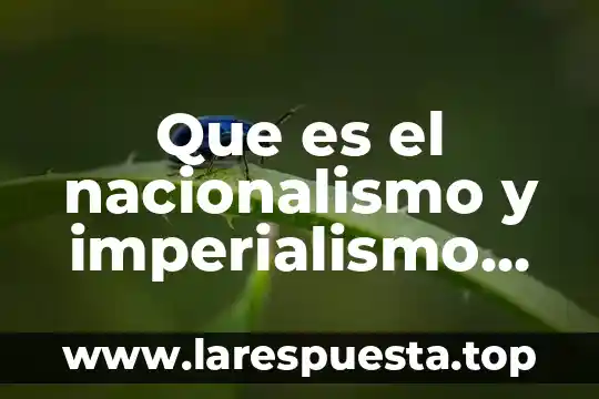Que es el nacionalismo y imperialismo pregunta directa
