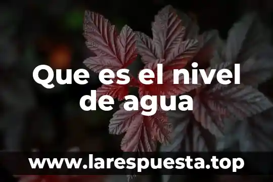 Que es el nivel de agua