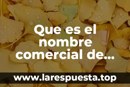 Que es el nombre comercial de una empresa en mexico