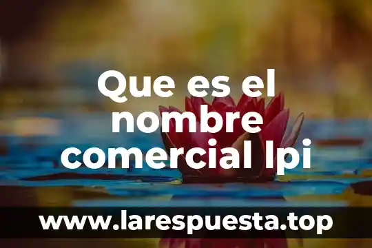 Que es el software y comercial 3 Que es el nombre comercial lpi