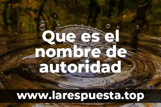 Que es el nombre de autoridad