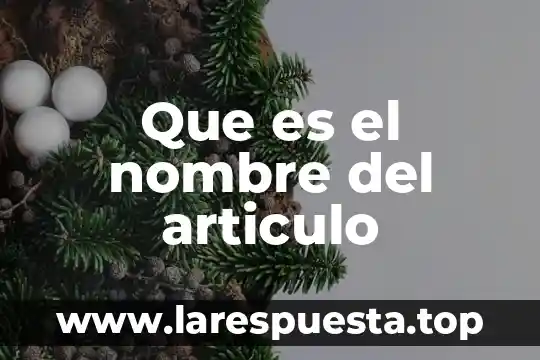 Que es el nombre del articulo