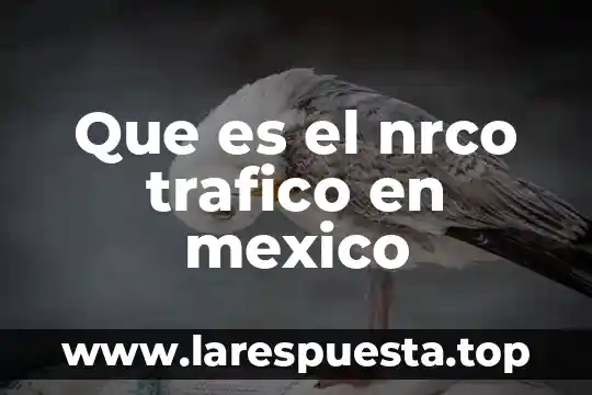 Que es el nrco trafico en mexico
