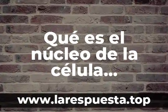 Qué es una célula eucariota con cloroplastos 8 Qué es el núcleo de la célula eucariota y procariota
