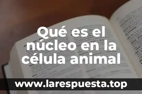 Qué es el núcleo en la célula animal