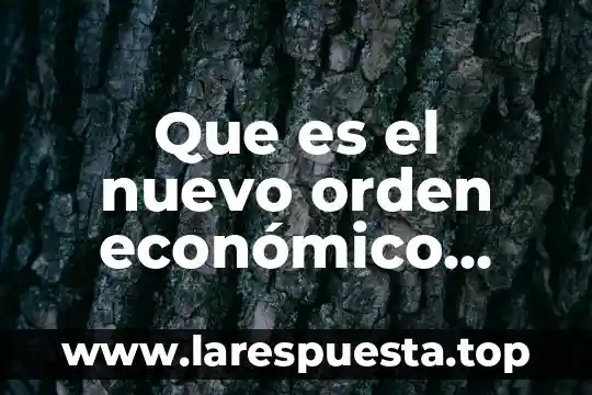 Que es o en que consiste el modelo economico neovidelario 3 Que es el nuevo orden económico internacional