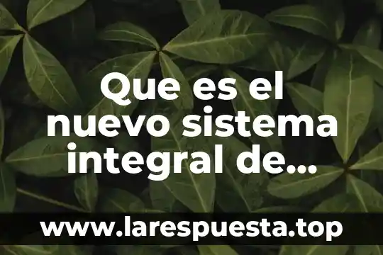 Que es el nuevo sistema integral de justicia para adolescentes