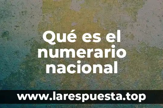 Que es una norma nacional 8 Qué es el numerario nacional