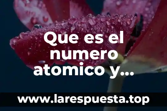 Qué es la teoría del modelo atómico 6 Que es el numero atomico y como se asigna
