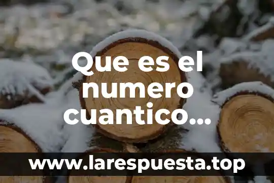 Que es el numero cuantico magnetico yahoo