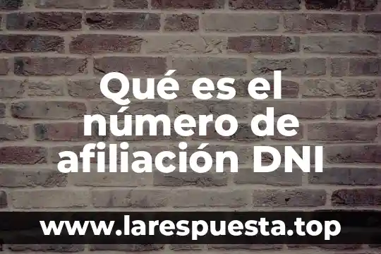 Qué es el número de afiliación DNI