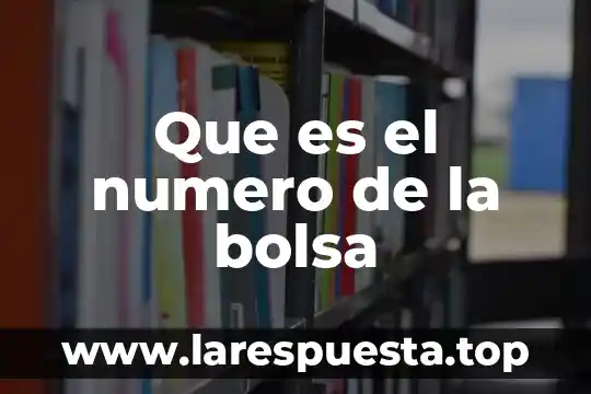 Que es número absoluto y sus caracteristicas 3 Que es el numero de la bolsa