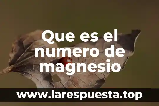 Este numero de que es 2019-03828 6 Que es el numero de magnesio
