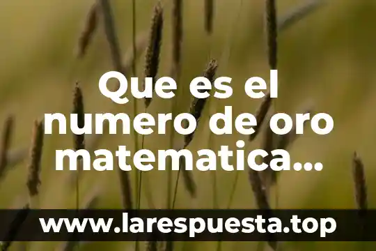 Que es tasa en matematica financiera 6 Que es el numero de oro matematica financiera ensayo