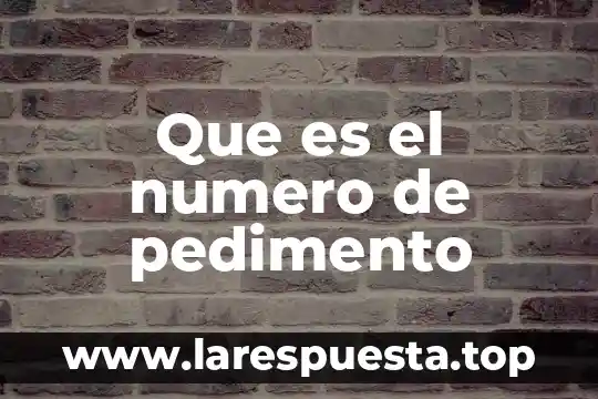 Que es el numero de pedimento