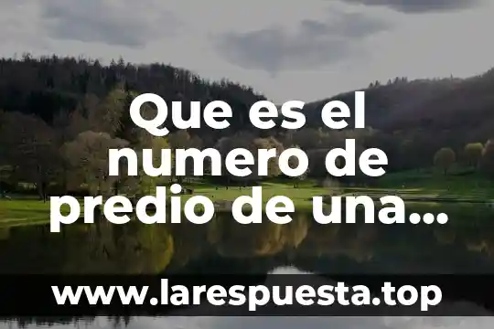 Que es el numero de predio de una vasa