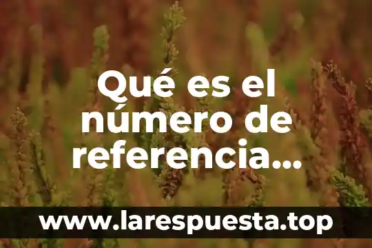 Qué es el número de referencia alfanumérico Banamex