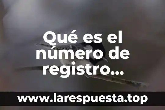 Qué es el número de registro patronal